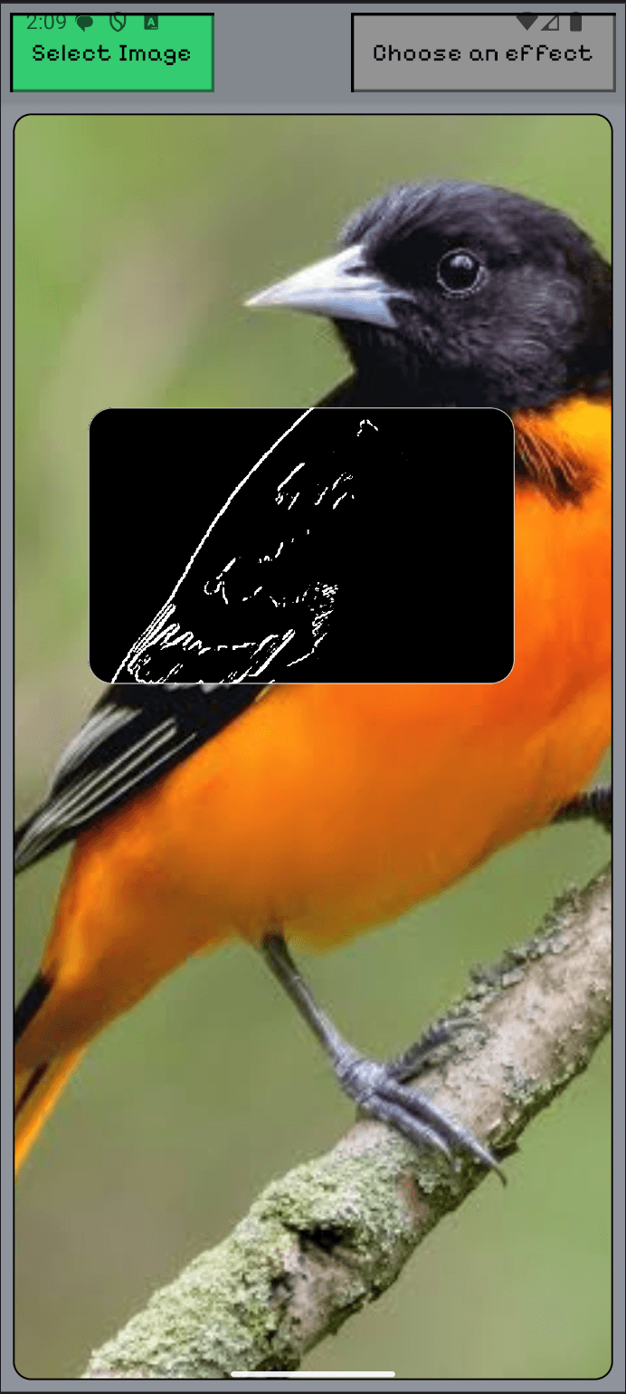 Magic Lens app screenshot